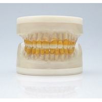 Refil de Periodontia I AC104 - Pronew