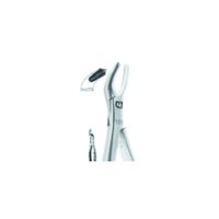 20190513160515_2014997986_GZ