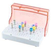 Kit de Profilaxia Color Brush American Burrs