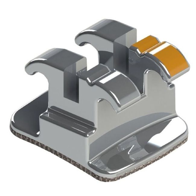 Dente N.12 - 10.10.402