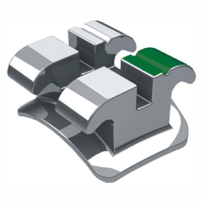 Dente N.23 - 10.10.405