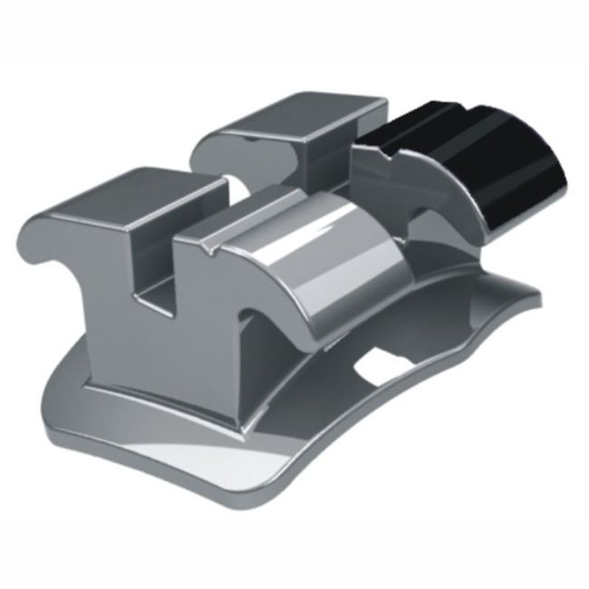 Dente N.33 - 10.10.413