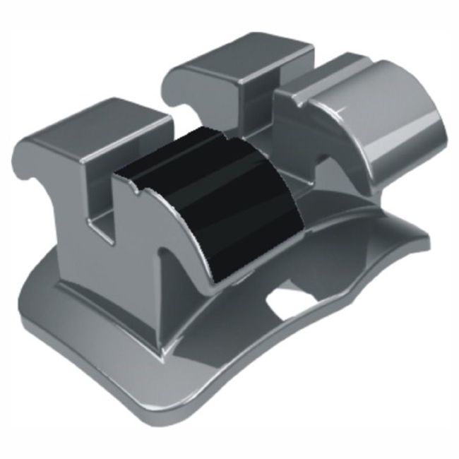 Dente N.43 - 10.10.412