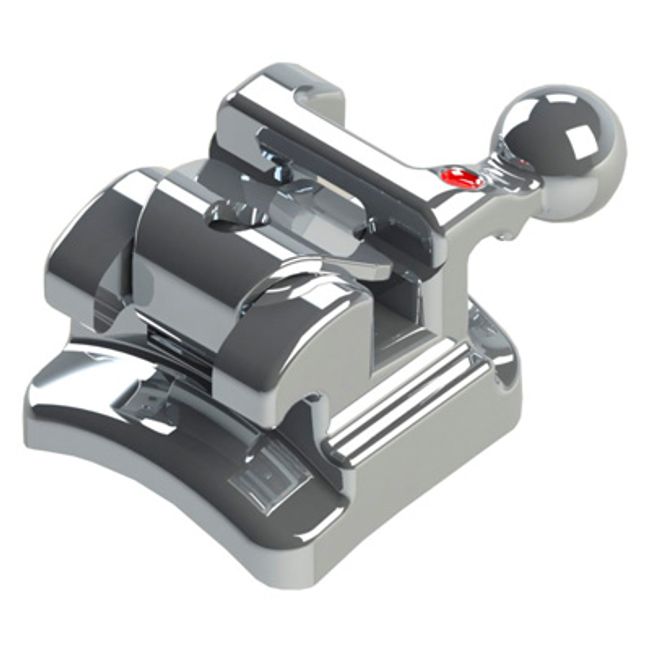 Dente N.24/25 - 10.14.008