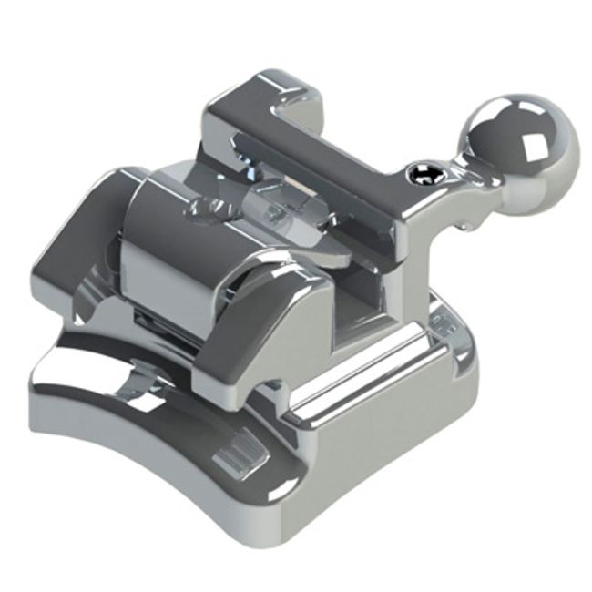 Dente N.43 - 10.14.010