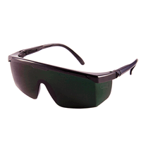 Oculos de Protecao Jaguar Verde Tonalidade 5 Kalipso