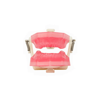 Manequim de Endodontia PD107 - Pronew