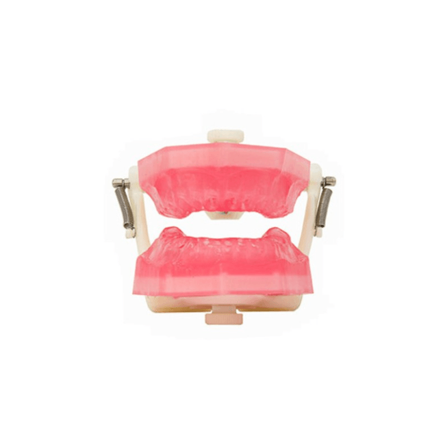 Manequim de Endodontia PD107  Pronew