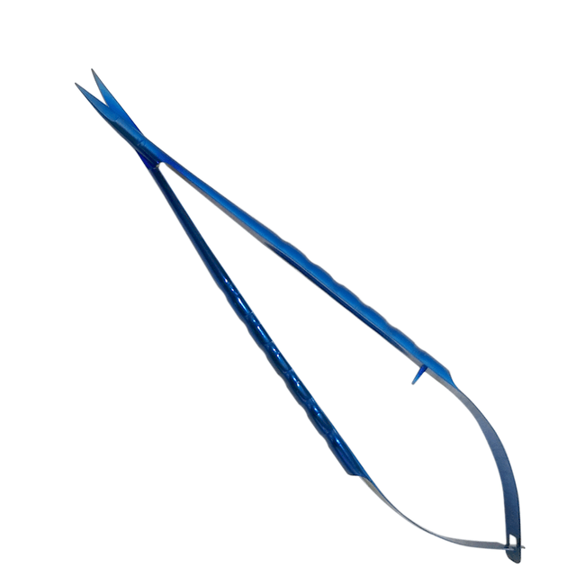PortaCastro18Azul