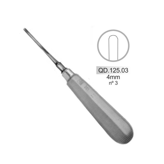 Cinzel Alexander 4mm  Quinelato