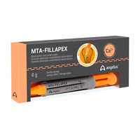 Cimento Endodontico MTA Fillapex com Ponta Intracanal 4g Angelus
