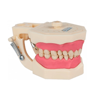 Dentistica1