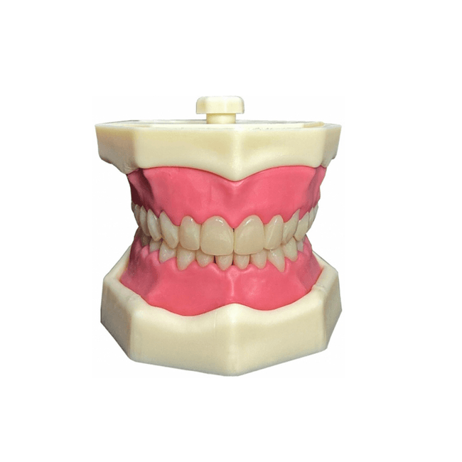 Dentistica2