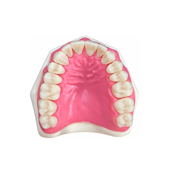 Dentistica3