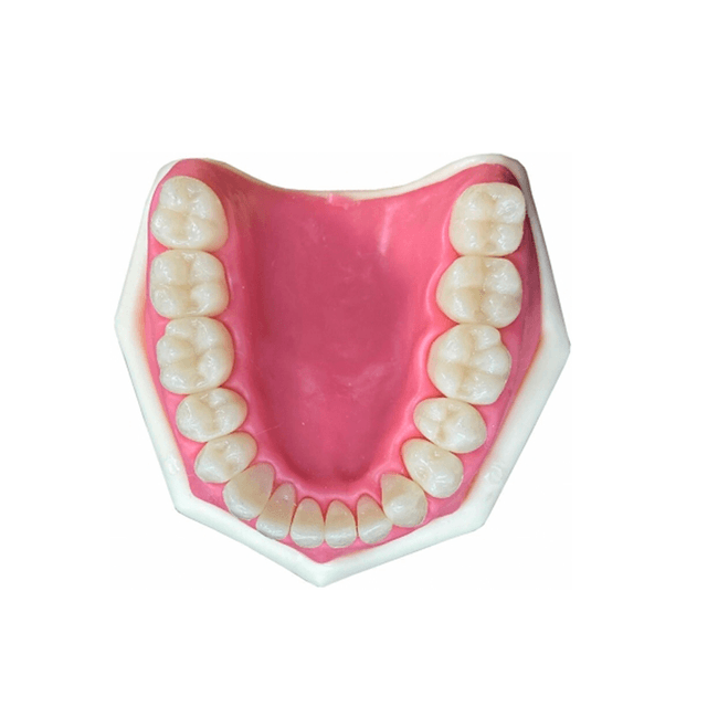 Dentistica4