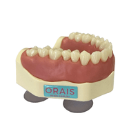 Manequim Superior MTD 287 - Orais