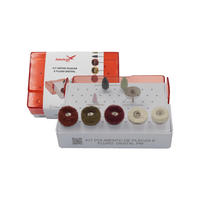 Kit Polimento de Placas e Fluxos Digital PM American Burrs
