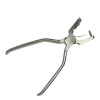 Alicate Perfurador Ainsworth  Quinelato