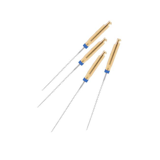 Broca Lentulo CA  MK Life