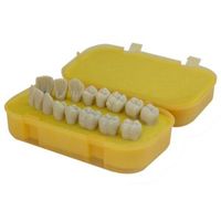 cx-aberta-diagonal-e1738250697266