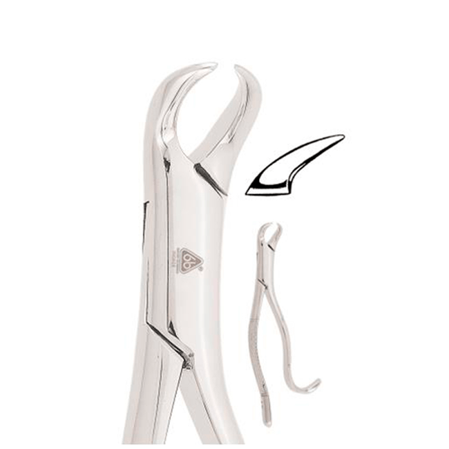 Forceps Adulto  6B Invent