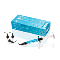 Resina EverX Flow GC