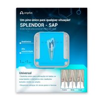 1000033735-1-Pino-de-Fibra-de-Vidro-Splendor-SAP-1-Pino-1-Luva-Angelus