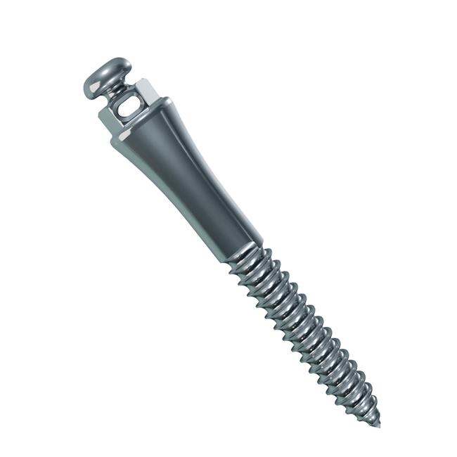 Miniparafuso Ortodontico Extrarradicular de Aco Furo  Morelli