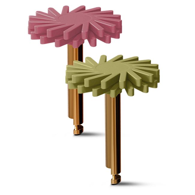 1000070465-1-Polidor-Praxis-Diamond-Mini-Espiral-Ca-Medio-e-Fino-Tdv